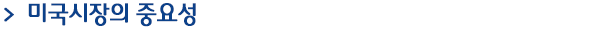 미국 시장의 중요성